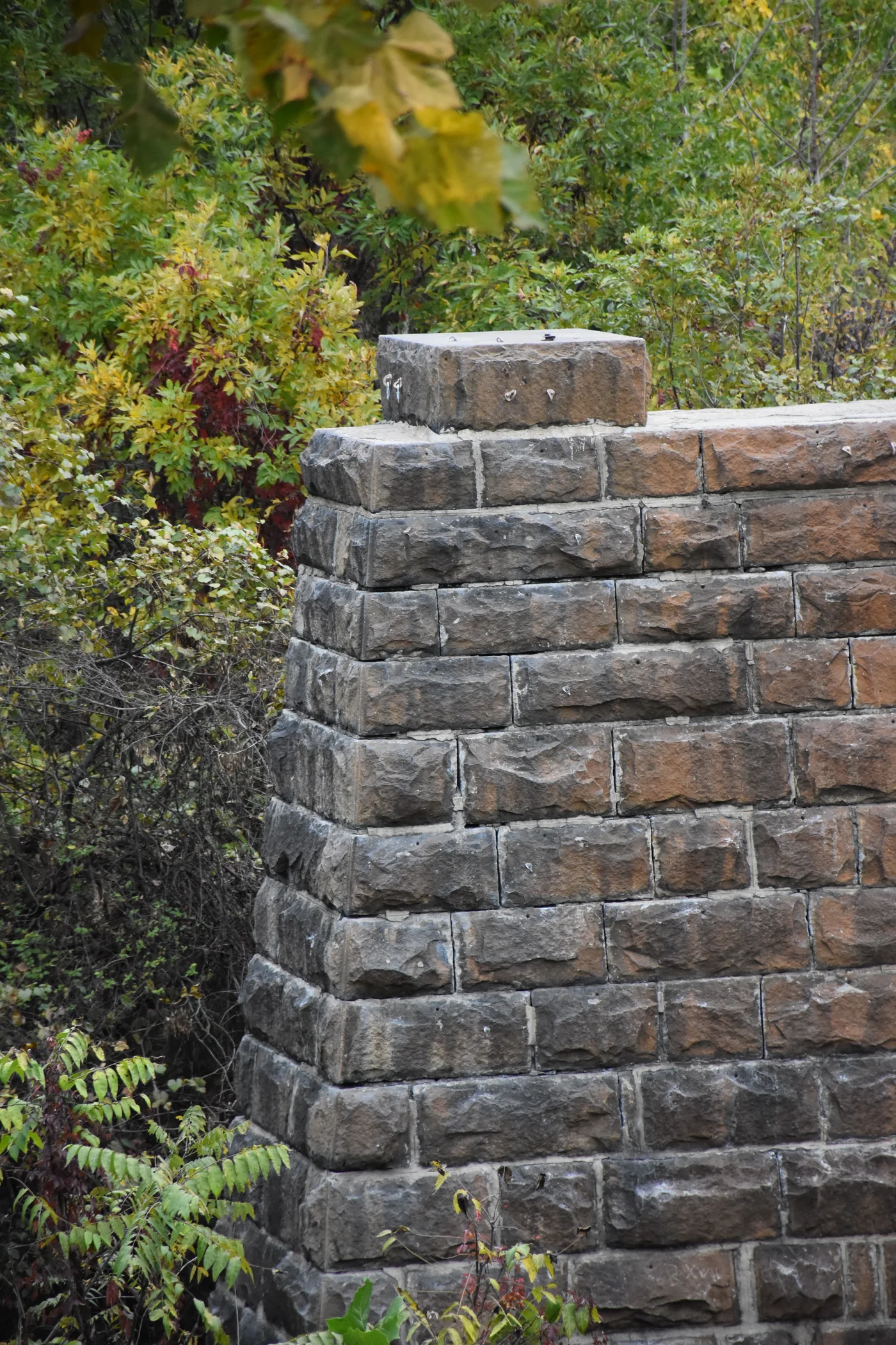 Pillar 1 at Manchester Wall — 60-foot granite railroad bridge abutment on the James River, discovered under kudzu in 1983